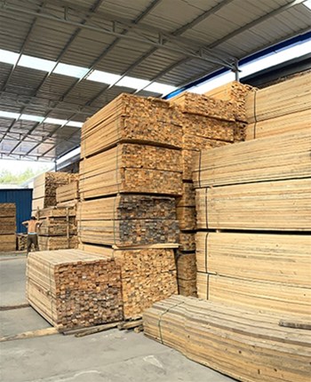 如何对建筑木方预防虫害的